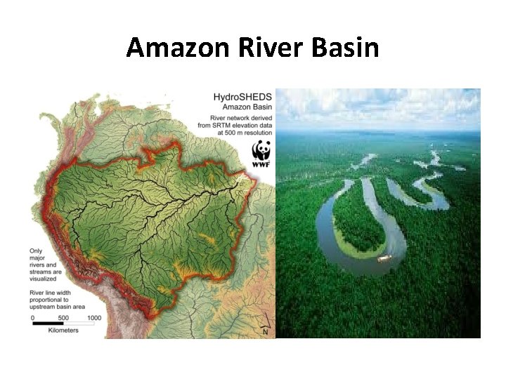 Amazon River Basin 
