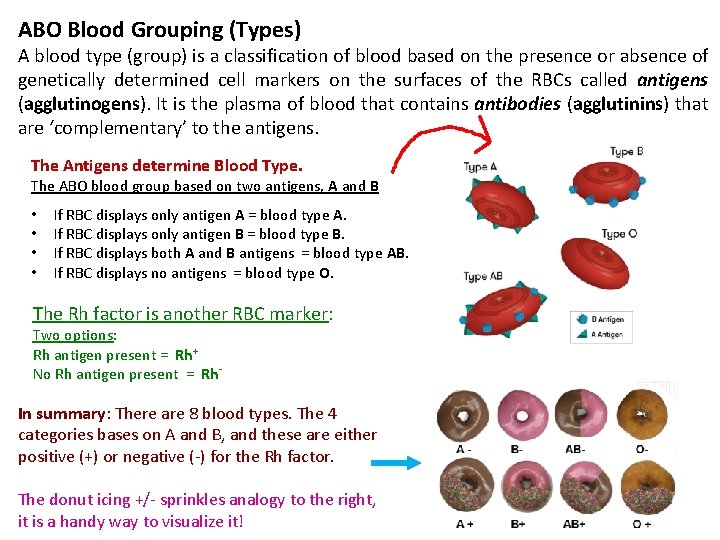 ABO Blood Grouping (Types) A blood type (group) is a classification of blood based