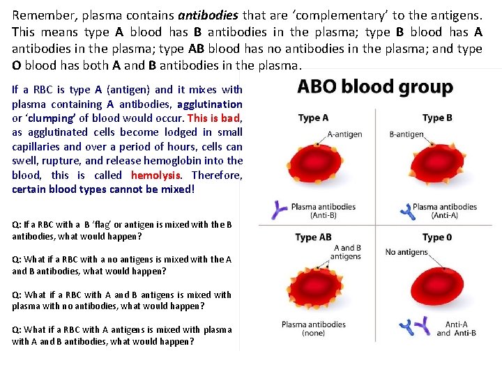 Remember, plasma contains antibodies that are ‘complementary’ to the antigens. This means type A