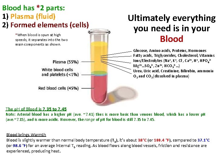 Blood has *2 parts: 1) Plasma (fluid) 2) Formed elements (cells) *When blood is