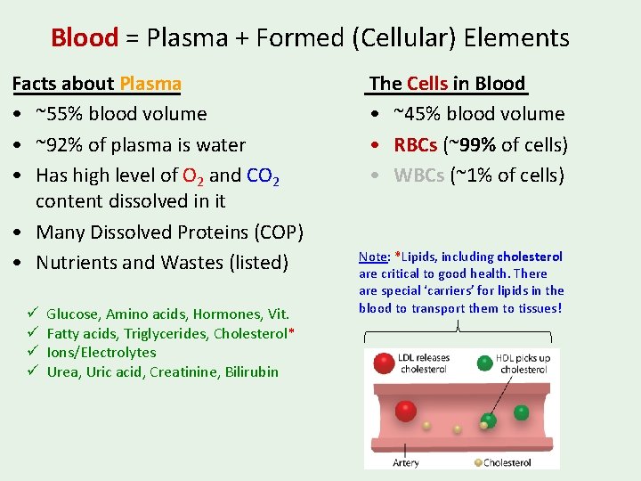 Blood = Plasma + Formed (Cellular) Elements Facts about Plasma • ~55% blood volume