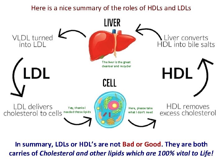 Here is a nice summary of the roles of HDLs and LDLs The liver