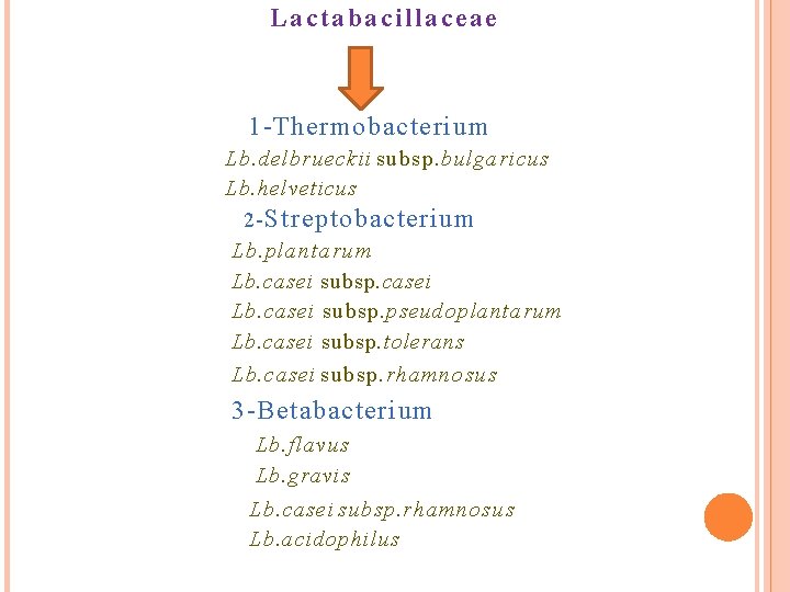 Lactabacillaceae 1 -Thermobacterium Lb. delbrueckii subsp. bulgaricus Lb. helveticus 2 - Streptobacterium Lb. plantarum