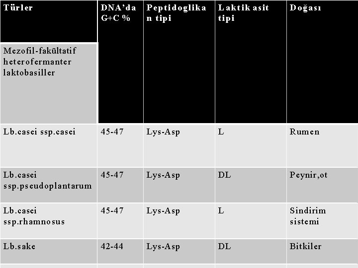 DNA’da G+C % Peptidoglika n tipi Laktik asit ti pi Doğası Lb. casei ssp.