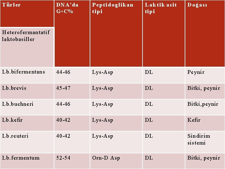 DNA’da G+C% Peptidoglikan ti pi Laktik asit ti pi Doğası Lb. bifermentans 44 -46