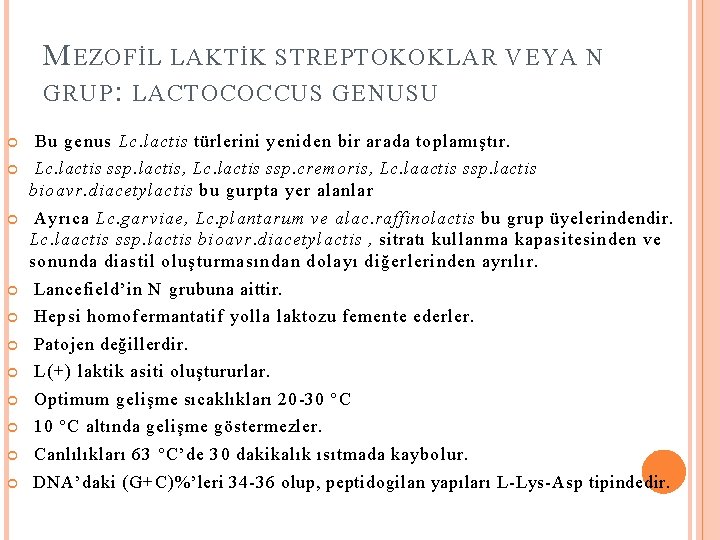 M EZOFİL LAKTİK STREPTOKOKLAR VEYA N GRUP : LACTOCOCCUS GENUSU Bu genus Lc. lactis