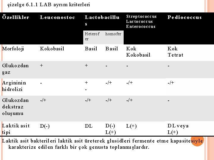 çizelge 6. 1. 1 LAB ayrım kriterleri Özellikler Leuconostoc Lactob acillu s Heterof er