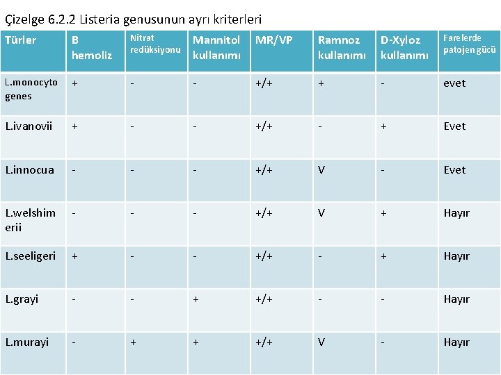 Çizelge 6. 2. 2 Listeria genusunun ayrı kriterleri Türler B hemoliz Nitrat redüksiyonu Mannitol