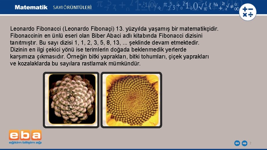 SAYI ÖRÜNTÜLERİ Leonardo Fibonacci (Leonardo Fibonaçi) 13. yüzyılda yaşamış bir matematikçidir. Fibonaccinin en ünlü