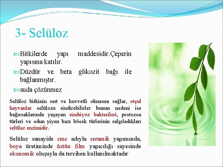 3 - Selüloz Bitkilerde yapı maddesidir. Çeperin yapısına katılır. Düzdür ve beta glikozit bağı