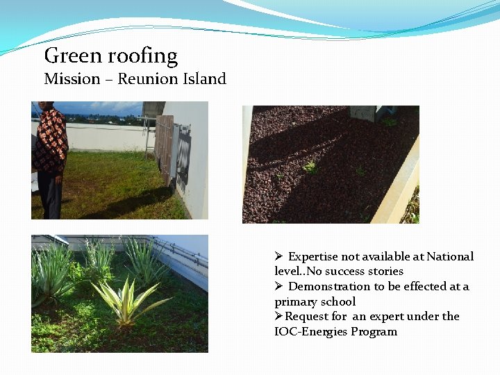 Green roofing Mission – Reunion Island Ø Expertise not available at National level. .