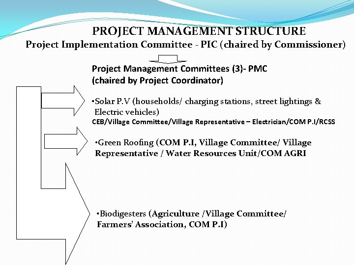 PROJECT MANAGEMENT STRUCTURE Project Implementation Committee - PIC (chaired by Commissioner) Project Management Committees