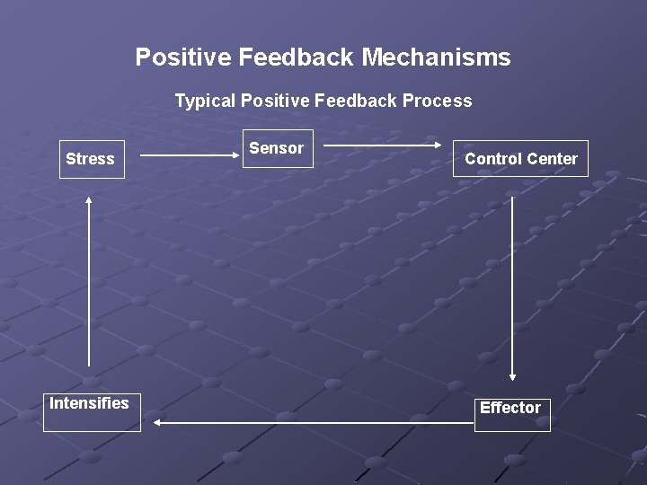 Positive Feedback Mechanisms Typical Positive Feedback Process Stress Intensifies Sensor Control Center Effector 