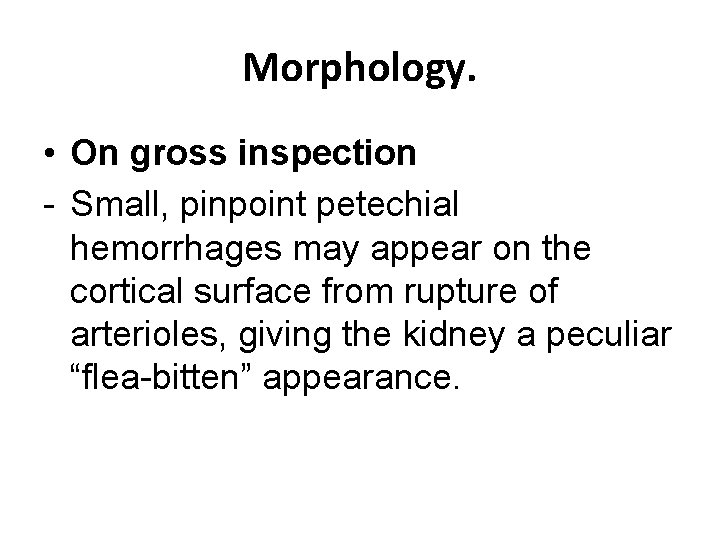 Morphology. • On gross inspection - Small, pinpoint petechial hemorrhages may appear on the