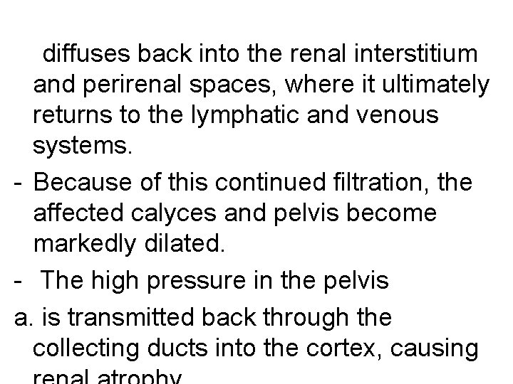 diffuses back into the renal interstitium and perirenal spaces, where it ultimately returns to diffuses back into the renal interstitium and perirenal spaces, where it ultimately returns to