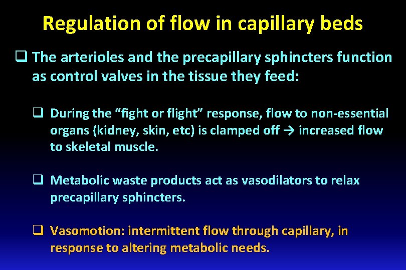 Regulation of flow in capillary beds q The arterioles and the precapillary sphincters function