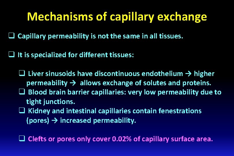 Mechanisms of capillary exchange q Capillary permeability is not the same in all tissues.