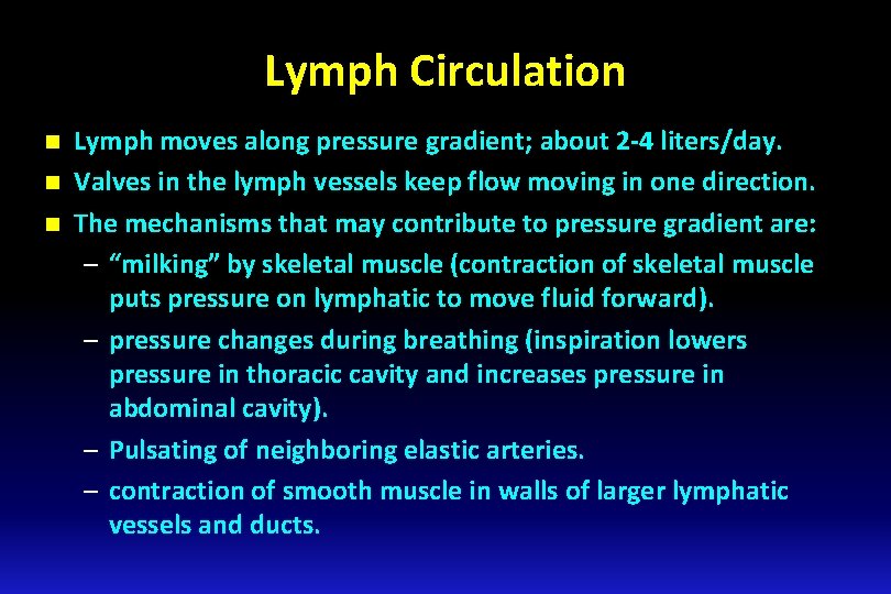 Lymph Circulation n Lymph moves along pressure gradient; about 2 -4 liters/day. Valves in