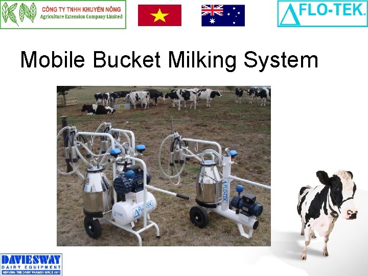 Mobile Bucket Milking System 