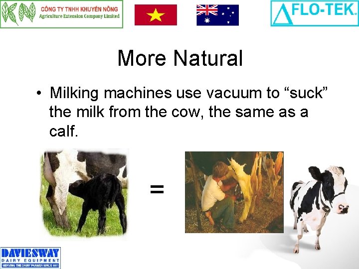 More Natural • Milking machines use vacuum to “suck” the milk from the cow,