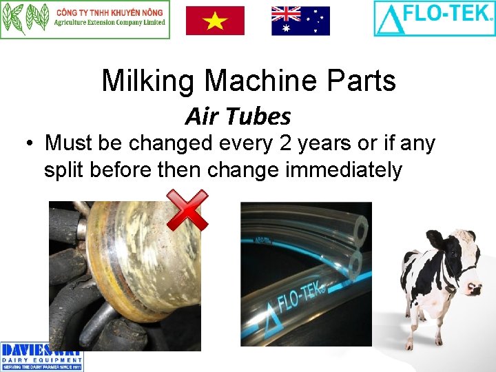 Milking Machine Parts Air Tubes • Must be changed every 2 years or if