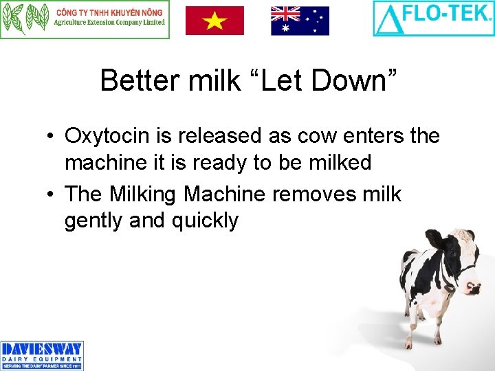 Better milk “Let Down” • Oxytocin is released as cow enters the machine it