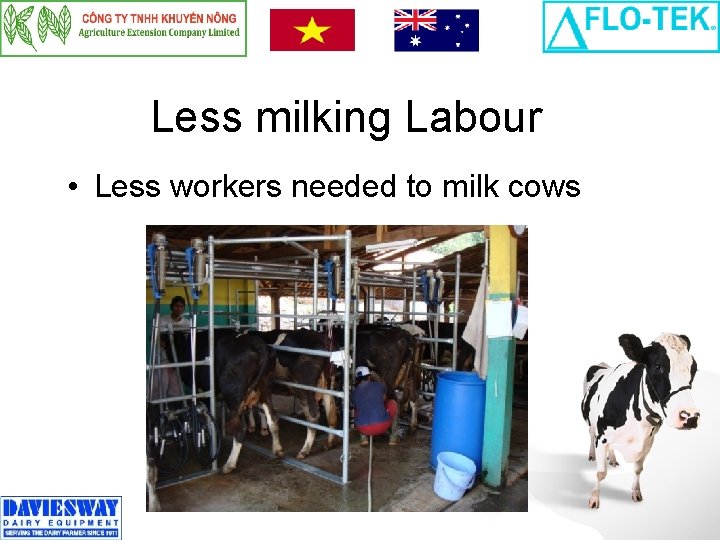 Less milking Labour • Less workers needed to milk cows 