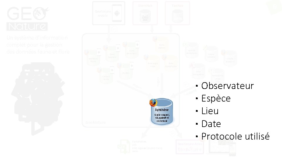 Users. Hub Geo. Nature mobile Un système d’information complet pour la gestion des données