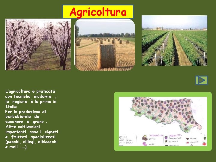 Agricoltura L’agricoltura è praticata con tecniche moderne , la regione è la prima in