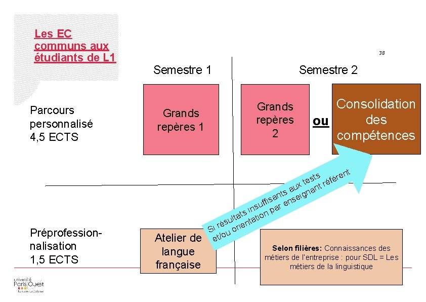 Les EC communs aux étudiants de L 1 Parcours personnalisé 4, 5 ECTS Préprofessionnalisation