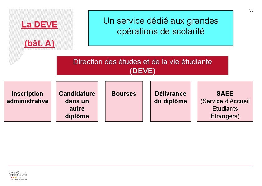 53 Un service dédié aux grandes opérations de scolarité La DEVE (bât. A) Direction