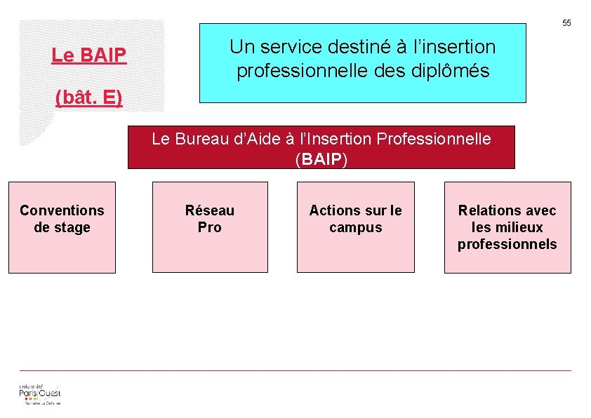 55 Le BAIP Un service destiné à l’insertion professionnelle des diplômés (bât. E) Le