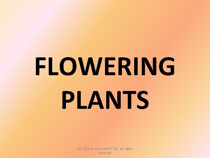 FLOWERING PLANTS (C) 2014 by Exercise ETC Inc. All rights reserved. 