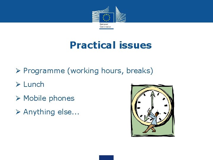Practical issues Ø Programme (working hours, breaks) Ø Lunch Ø Mobile phones Ø Anything
