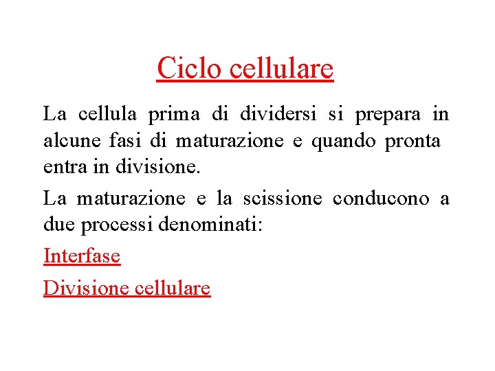 Ciclo cellulare La cellula prima di dividersi si prepara in alcune fasi di maturazione