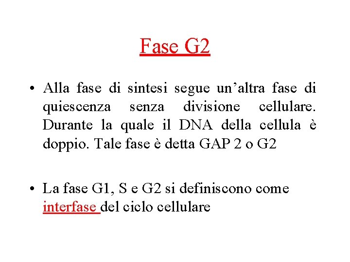 Fase G 2 • Alla fase di sintesi segue un’altra fase di quiescenza senza