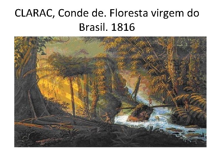 CLARAC, Conde de. Floresta virgem do Brasil. 1816 