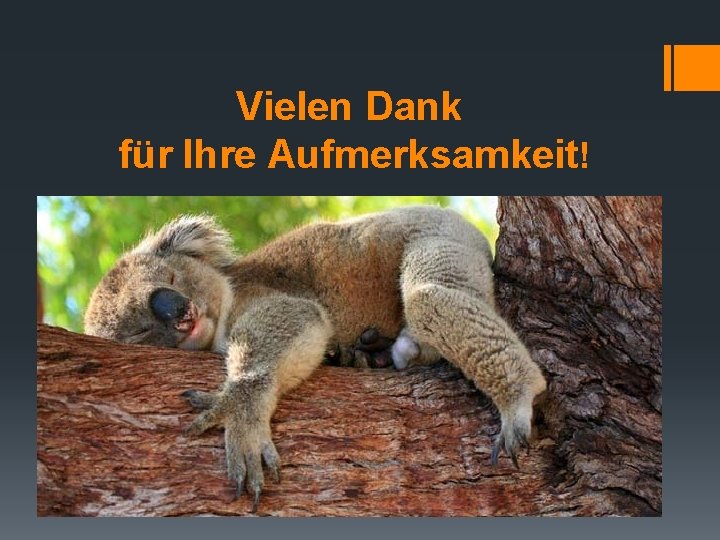 Vielen Dank für Ihre Aufmerksamkeit! 