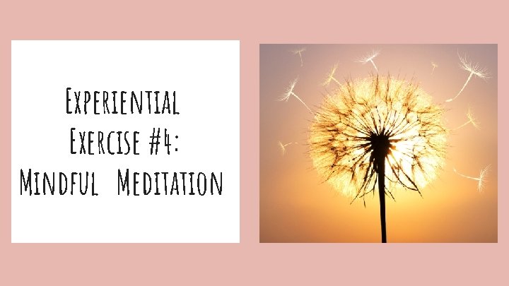 Experiential Exercise #4: Mindful Meditation 