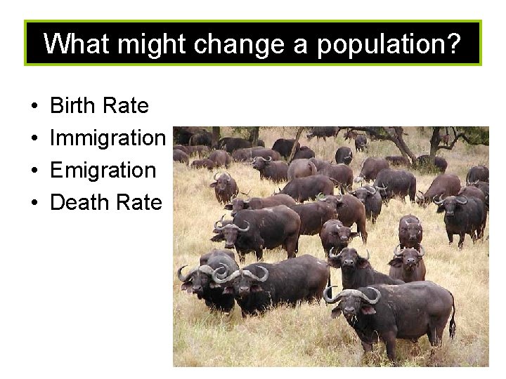 What might change a population? • • Birth Rate Immigration Emigration Death Rate 