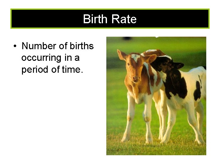 Birth Rate • Number of births occurring in a period of time. 