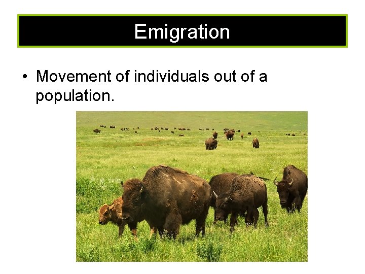 Emigration • Movement of individuals out of a population. 