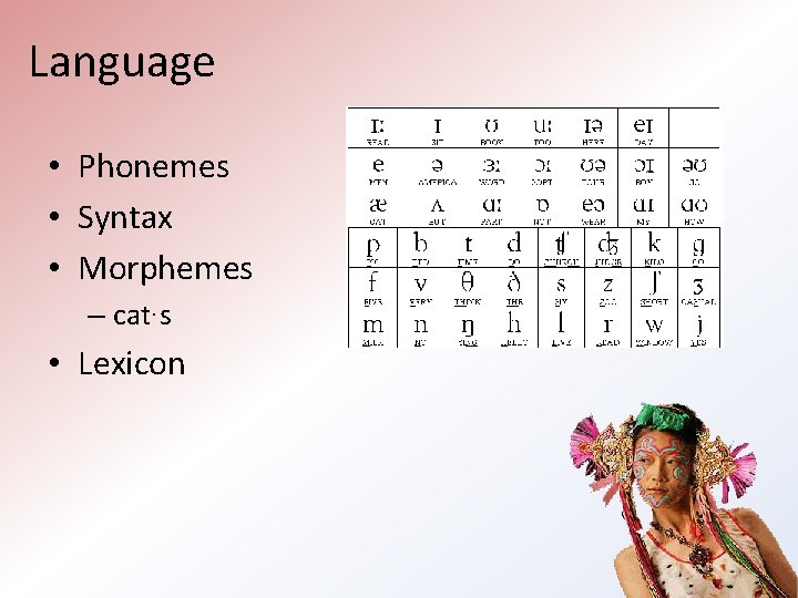 Language • Phonemes • Syntax • Morphemes – cat∙s • Lexicon Language • Phonemes • Syntax • Morphemes – cat∙s • Lexicon