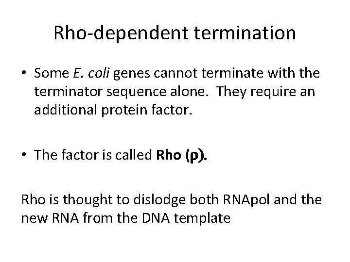 Rho-dependent termination • Some E. coli genes cannot terminate with the terminator sequence alone.