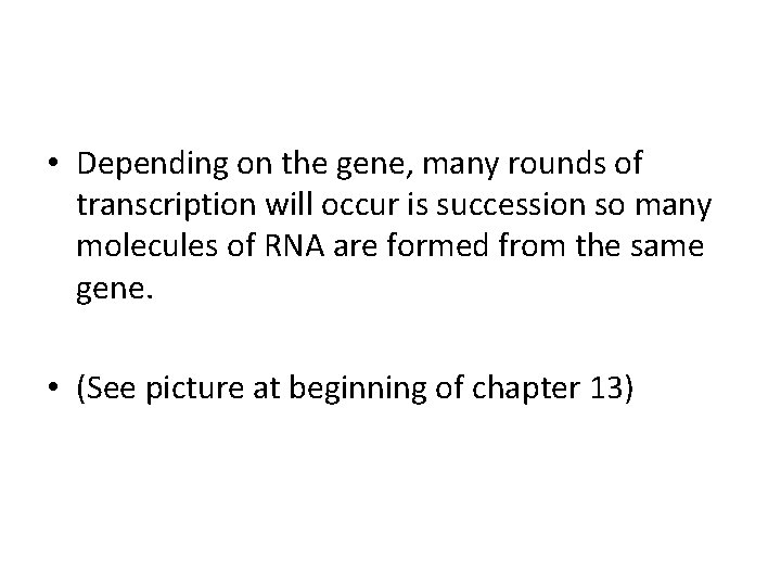  • Depending on the gene, many rounds of transcription will occur is succession