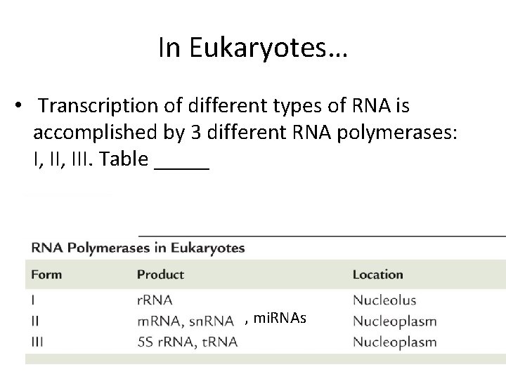 In Eukaryotes… • Transcription of different types of RNA is accomplished by 3 different