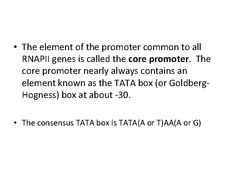  • The element of the promoter common to all RNAPII genes is called