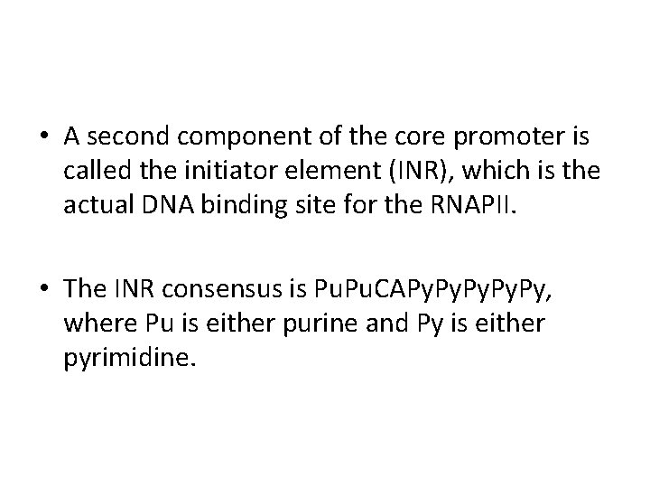  • A second component of the core promoter is called the initiator element