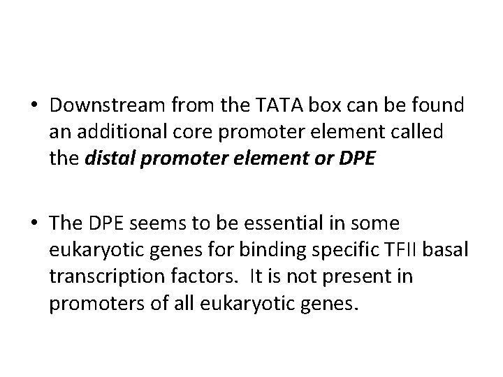 • Downstream from the TATA box can be found an additional core promoter
