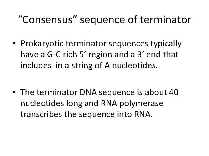 “Consensus” sequence of terminator • Prokaryotic terminator sequences typically have a G-C rich 5’